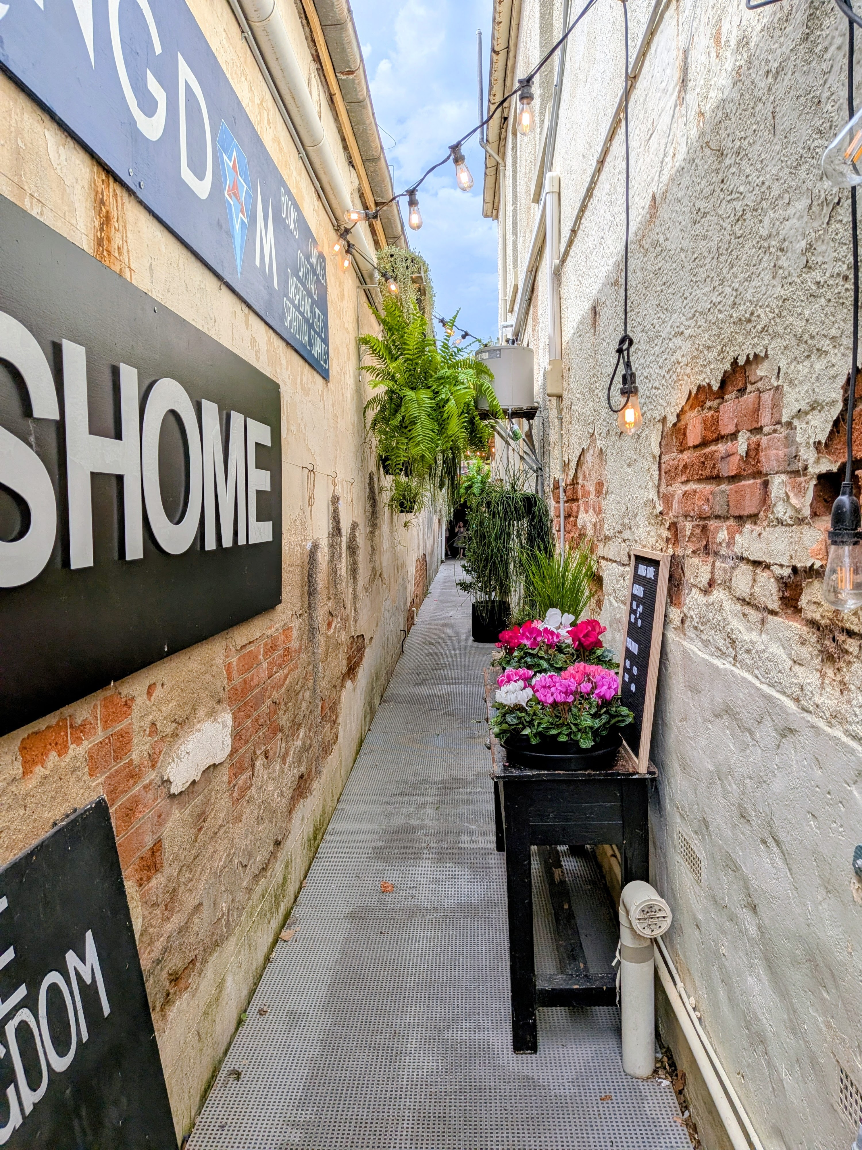 Narrow laneway in an Australian neighbourhood